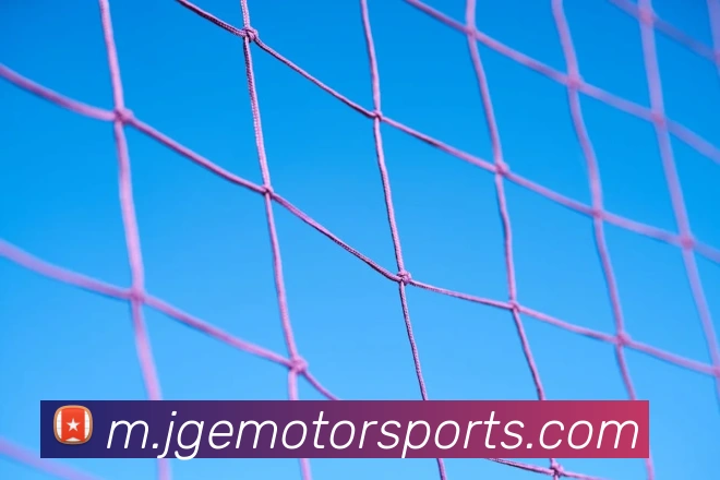 体育下注APP 封面图